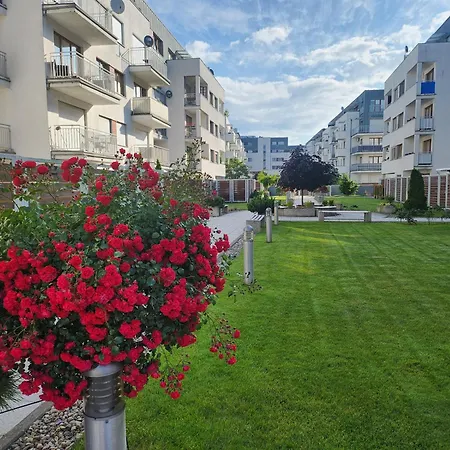 Apartament Nad Morzem -Animar Свіноуйсьце Екстер'єр фото